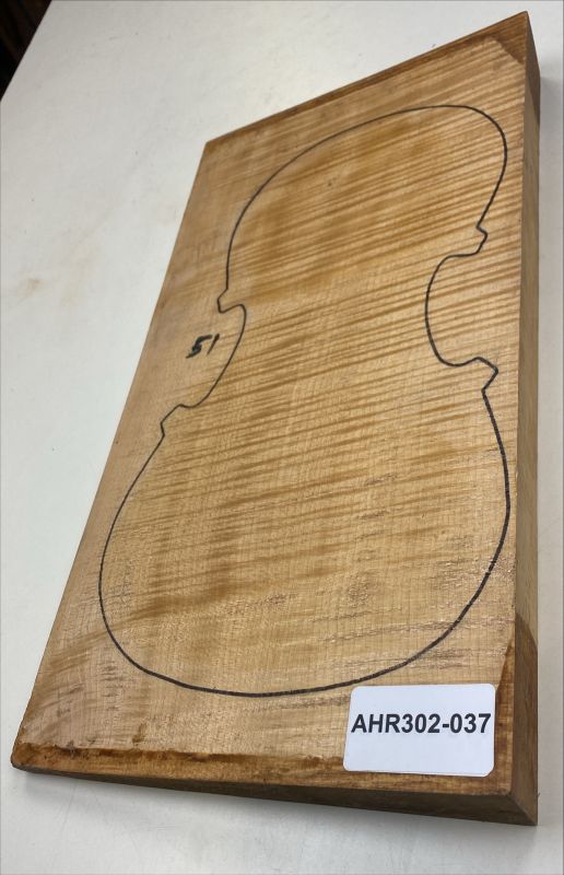 Satz B+Z+H Riegelahorn Violine, 1-tlg. Boden Einzelstück #037